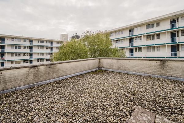 Medium property photo - Iepenlaan 6F, 3203 XE Spijkenisse